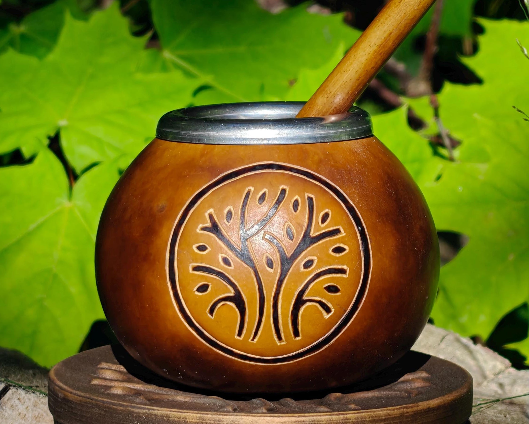 Yerba Mate Kalebasse mit Lebensbaum-Gravur